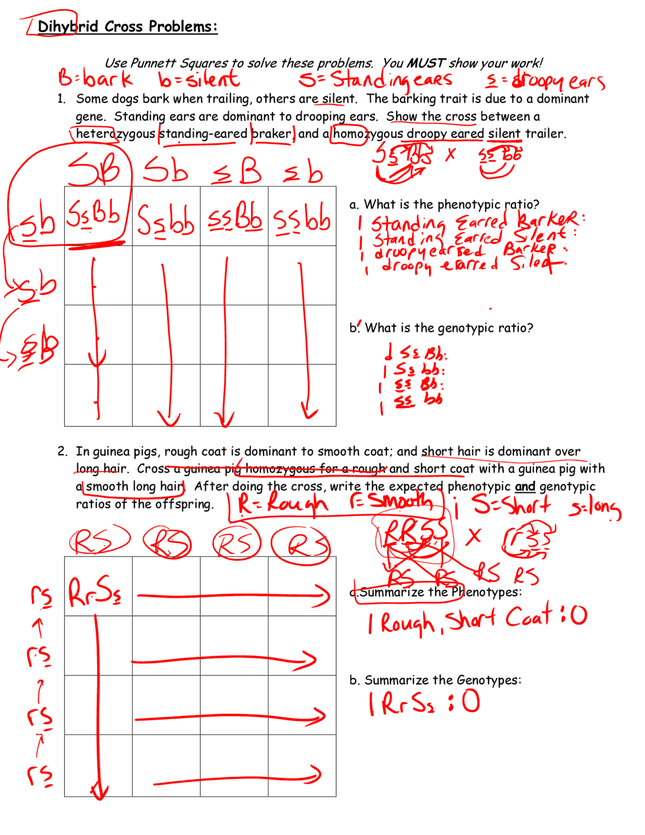 Dihybrid Cross Practice Problems Docx Google Docs