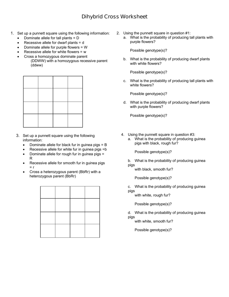 Dihybrid Cross Worksheet: Biology Answer Key Revealed