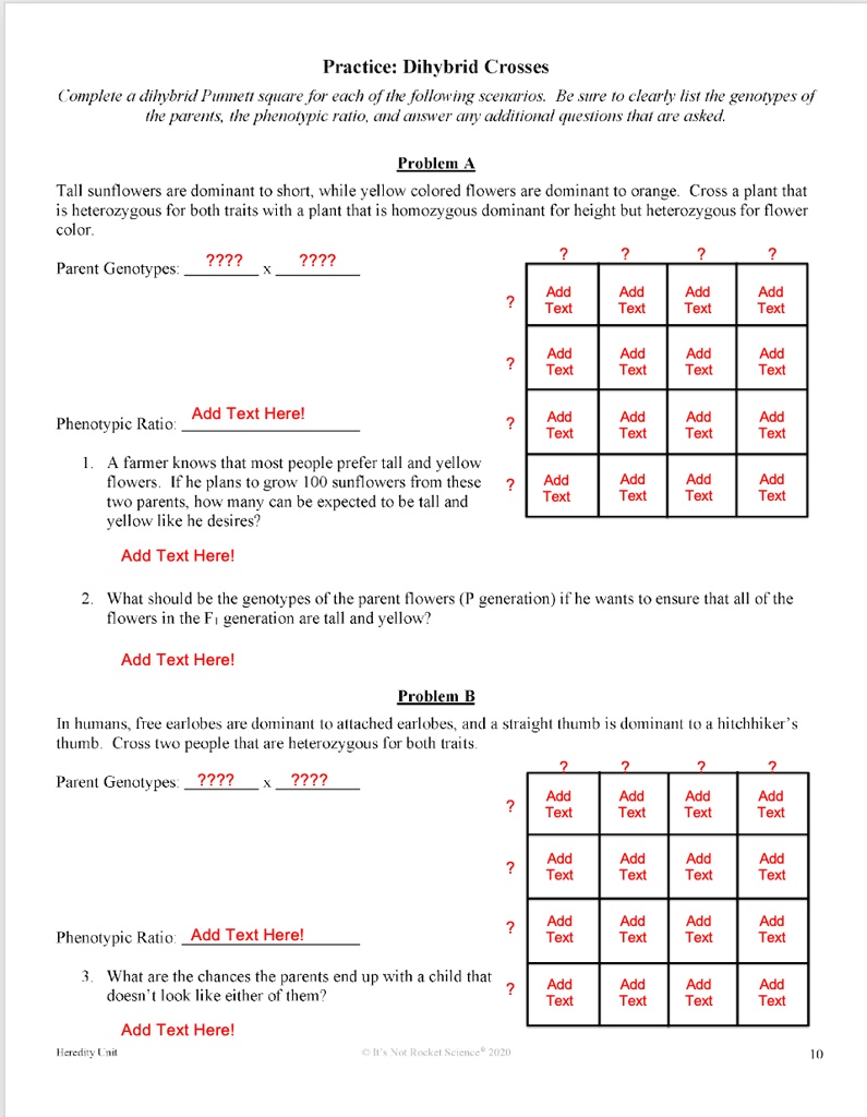 Dihybrid Crosses Worksheet 2 Word Word Dihybrid Crosses Worksheet 2