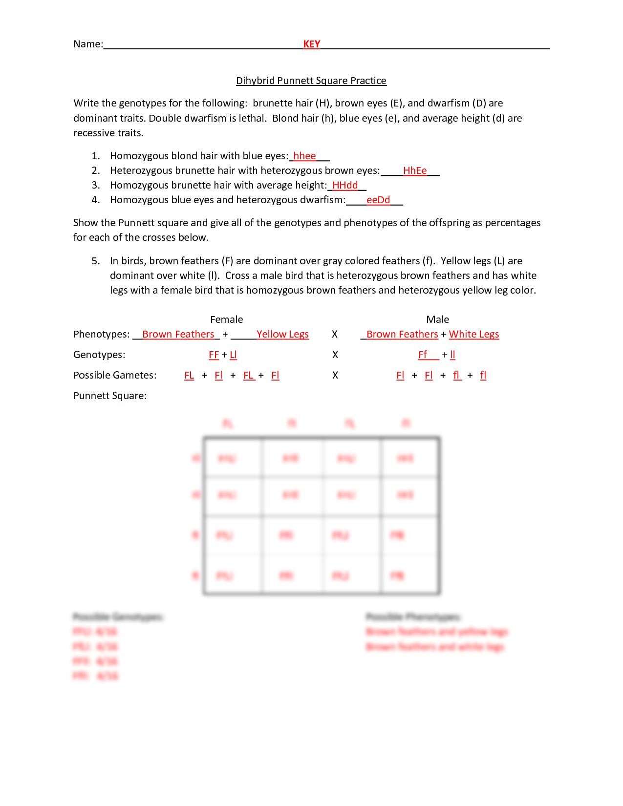 Dihybrid Punnett Square Practice Problems Summaries Genetics Docsity