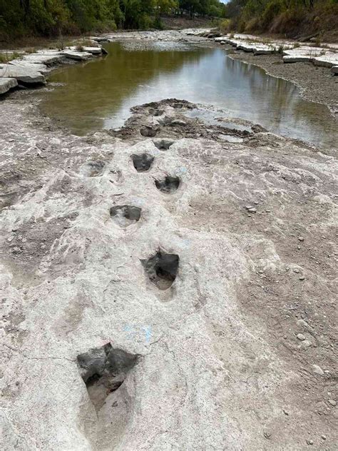 Dinosaur Tracks From 113 Million Years Ago Uncovered In Texas