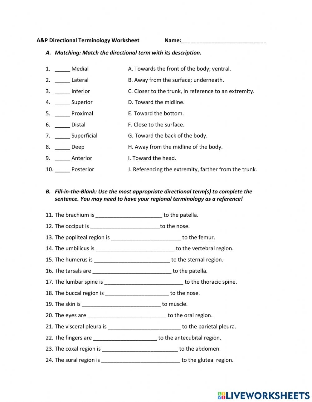 Directional Terminology Worksheets