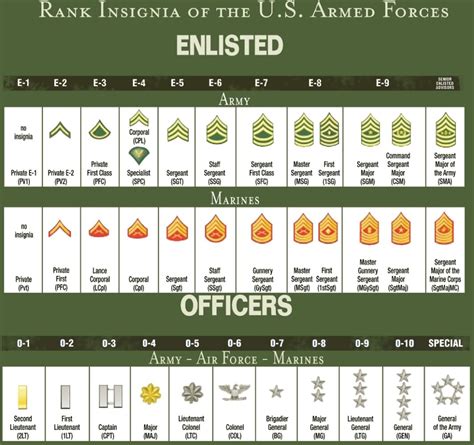 Discover The Hierarchy Of Military Ranks In The United States Armed Forces