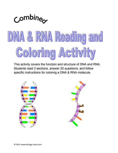 Dna Coloring Worksheet Pdf