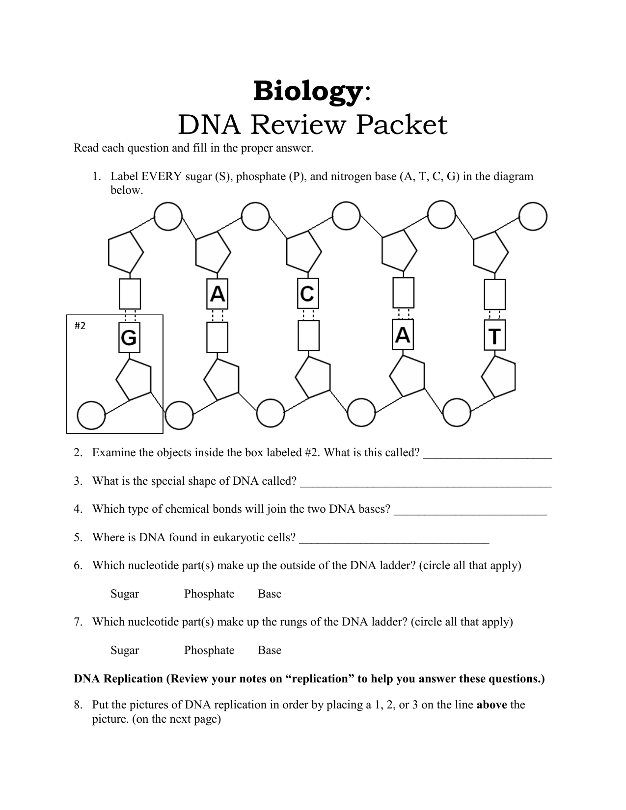 Dna Structure And Dna Replication Reading Worksheet