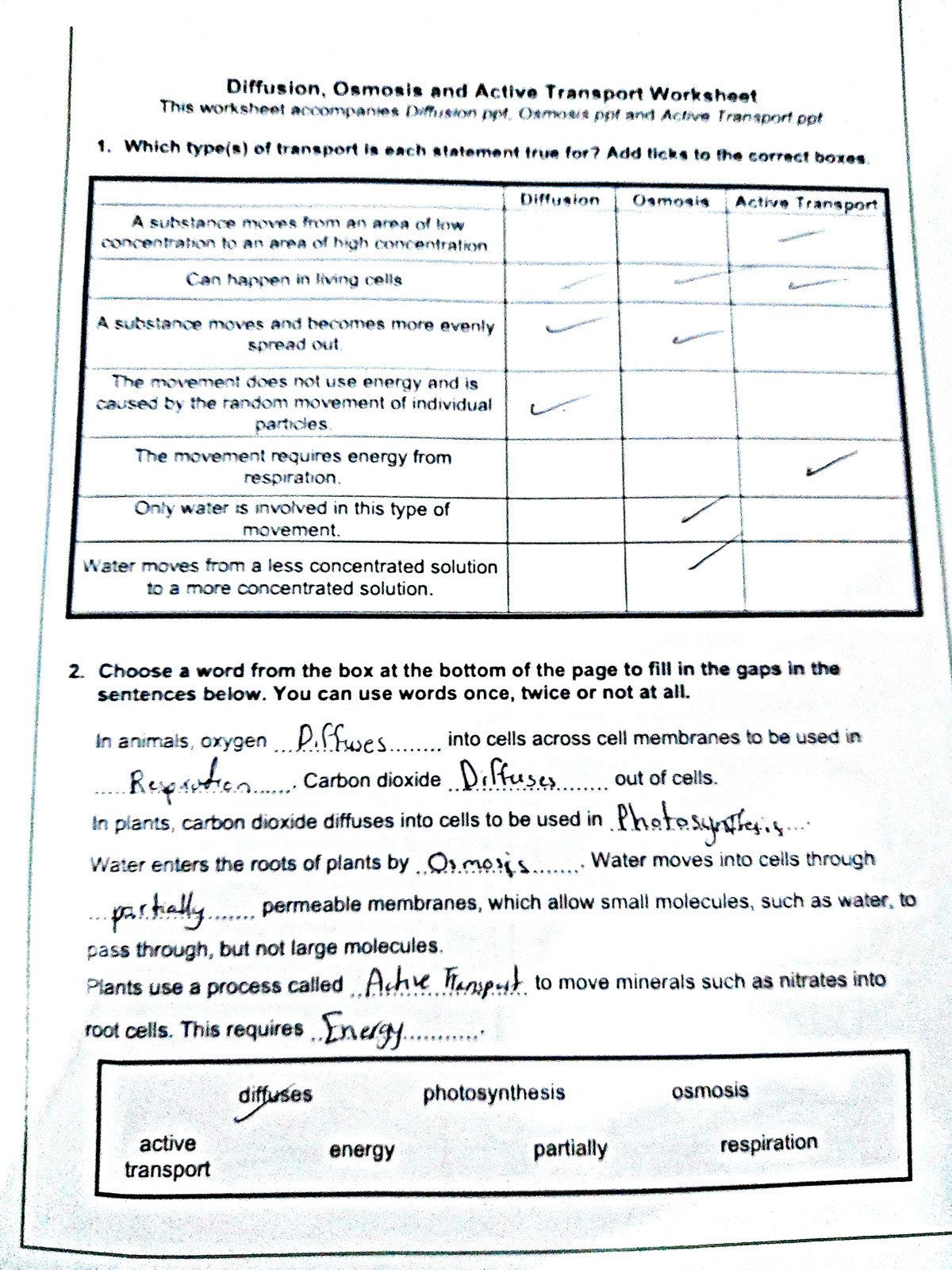 Doc 20221012 Wa0002 Diffusion Osmosis And Active Transport Worksheet Basic Biology I Studocu