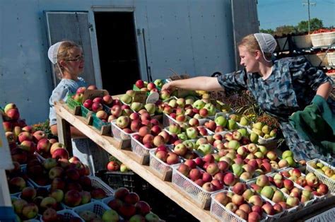 Does The Amish Market Take Snap Ebt Or Food Stamps