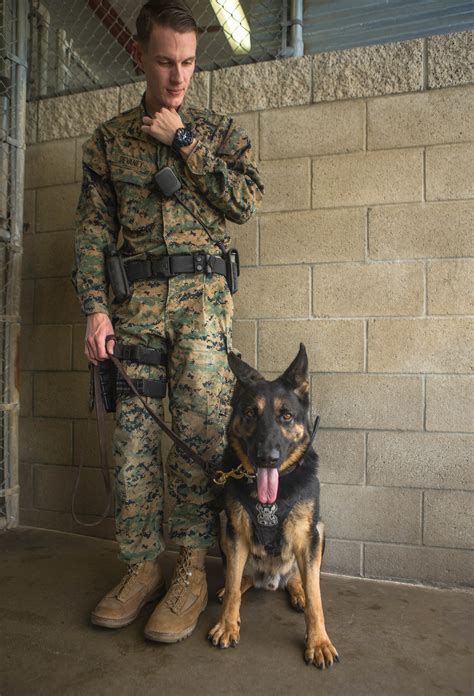 5 Tips for Marine Corps Dog Handlers