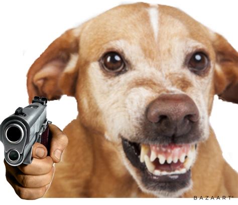 5 Tips Dog Gun Safety