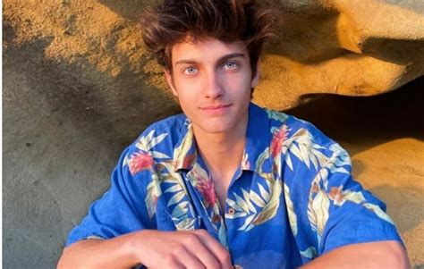 Dom Brack Biography Age Wiki Girlfriend Net Worth Tik Tok Career