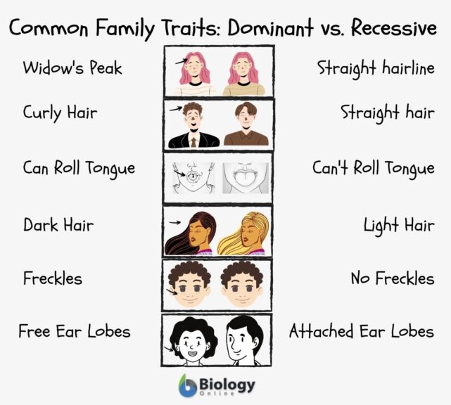 Dominant And Recessive Traits Build An Emoji Genetics Lab By Schilly