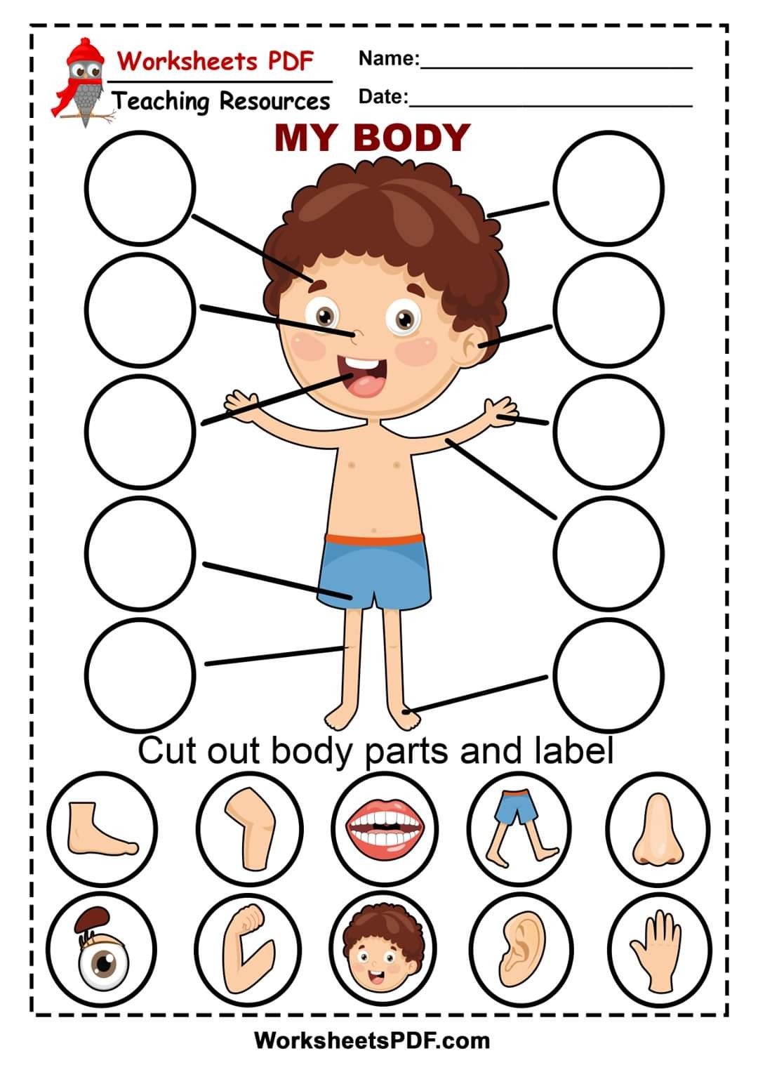 Download Pdf Free For Nursery Kids Match The Body Parts Worksheet 2