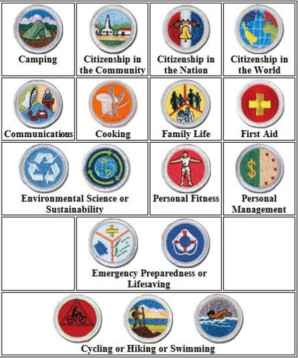 Eagle Scout Merit Badge Printable Tracker Pdf Page Planner Etsy