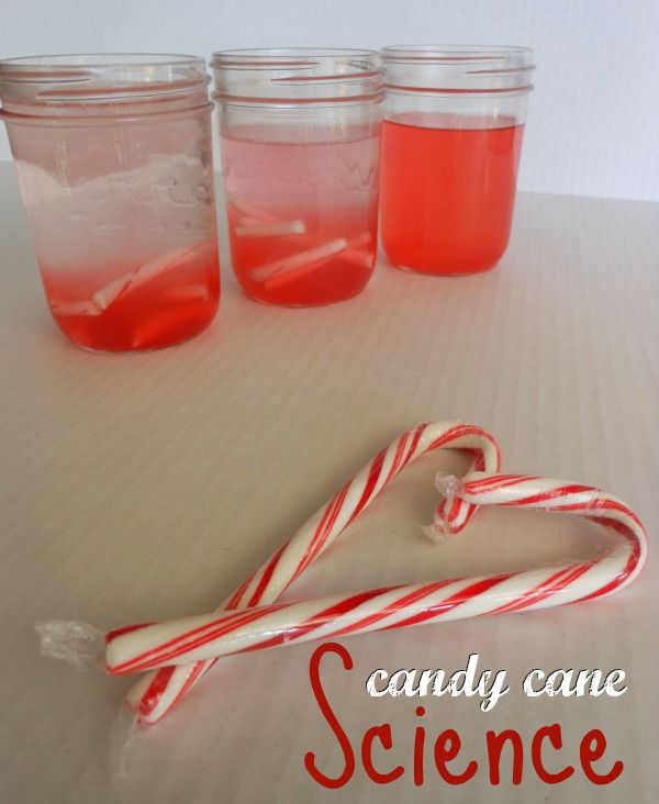 Easy Christmas Science Experiment With Candy Canes Confidence Meets