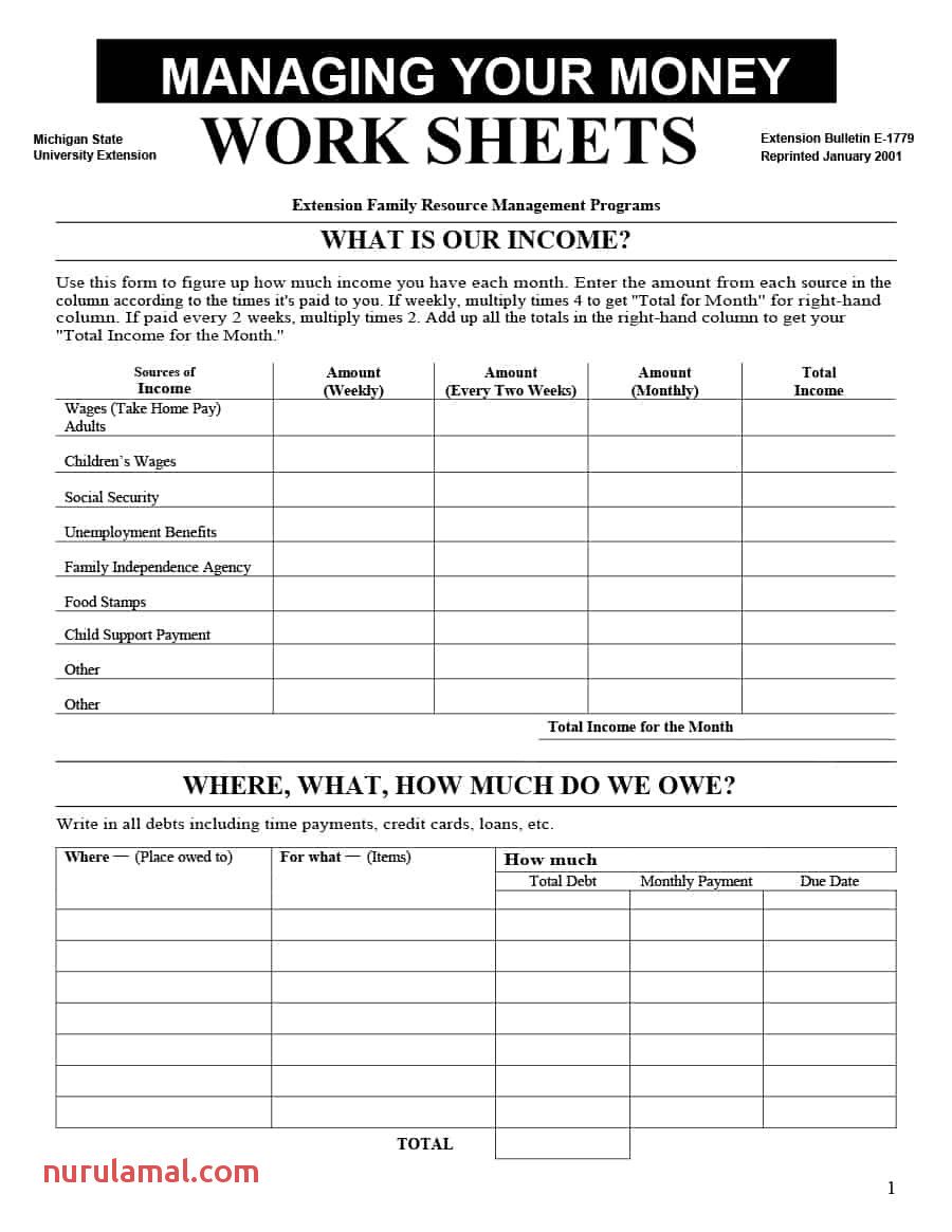 Easy Money Management Worksheets