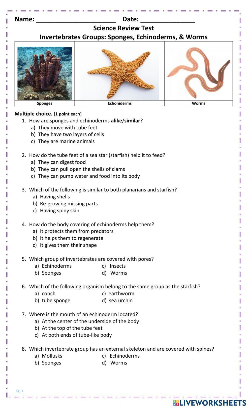 Echinoderms Worksheet Answer Key Revealed