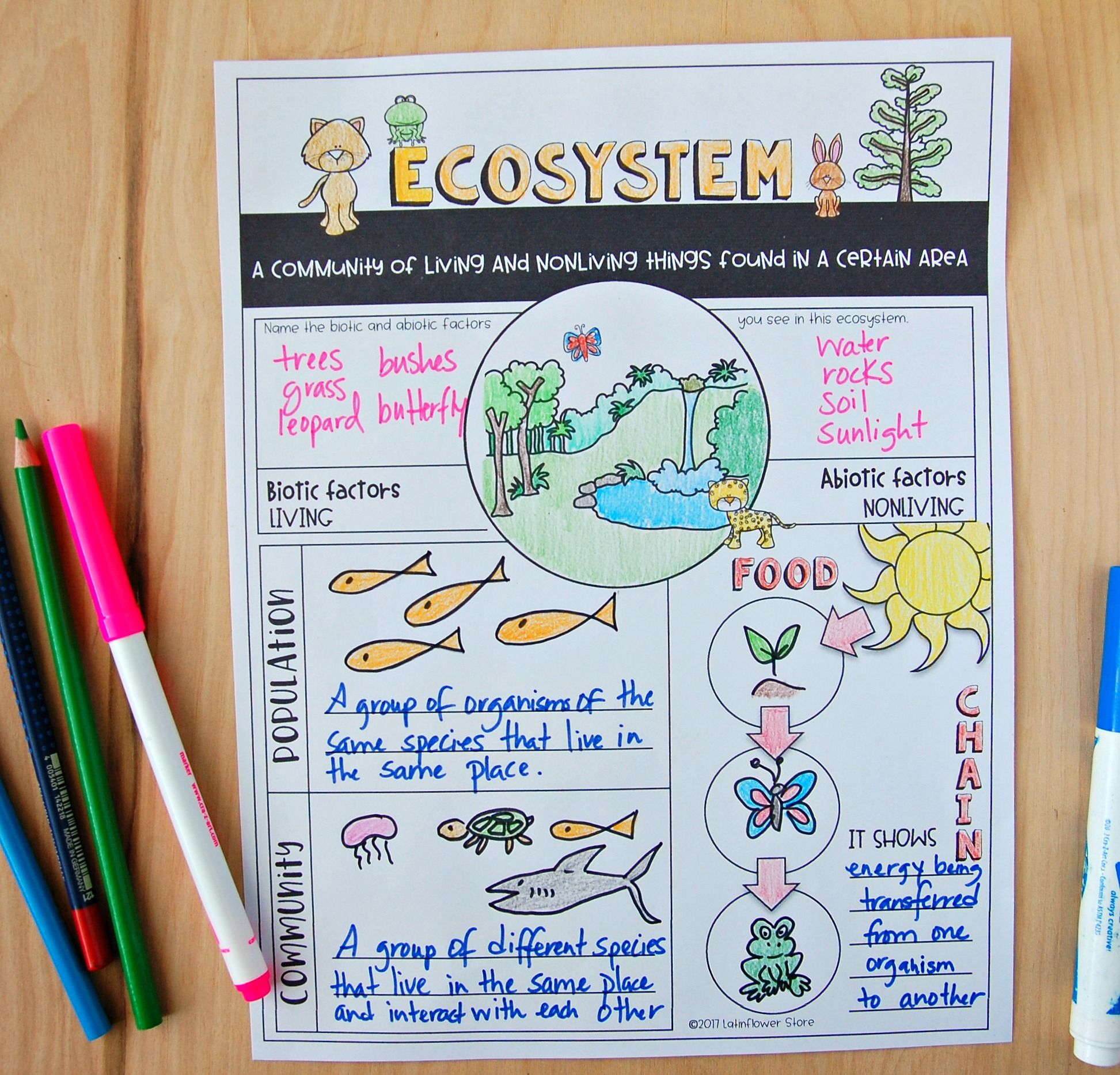 Ecosystems Lesson Plans 5Th Grade