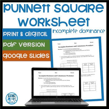 Editable Incomplete Dominance Punnett Square Worksheet Pdf Ms Word