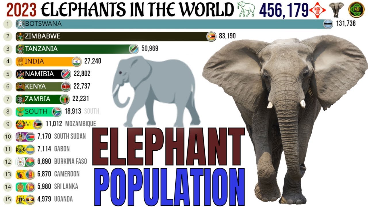 Elephant Population 2002 2015 Source Minfof 2015 21 Download