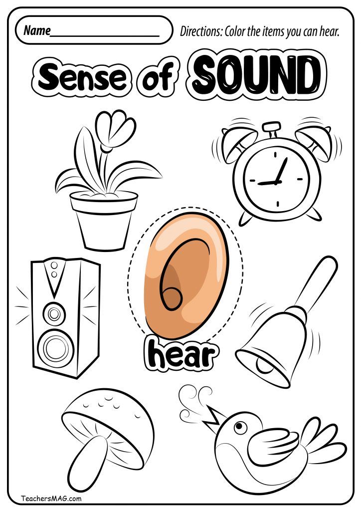 English Worksheets 5 Senses Hear