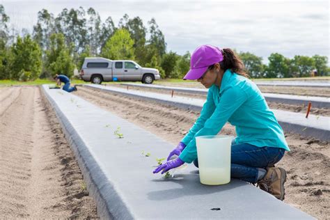 Environmental Health Campus Master Of Public Health College Of