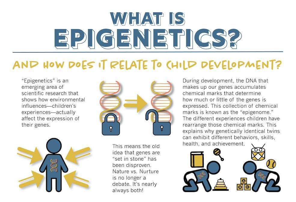 Epigenetics The Ghost In Your Genes Bioethicsbytes