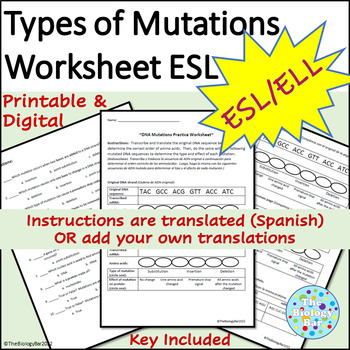 Esl Ell Biology Dna Mutations Practice Worksheet By The Biology Bar