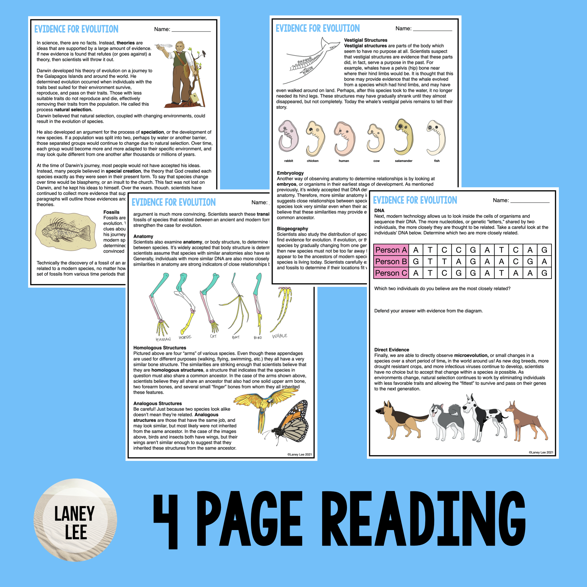 Evidence Of Evolution Activity Answer Key