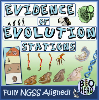 Evidence Of Evolution Stations By Biohero Teachers Pay Teachers