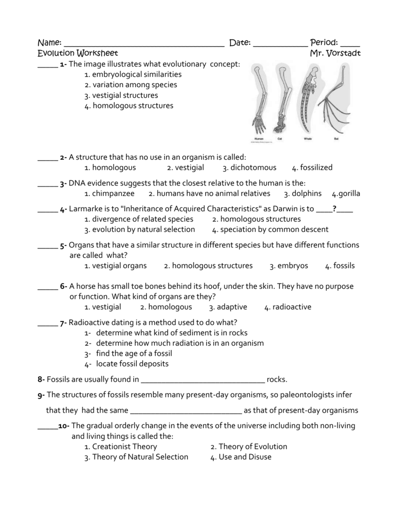 Evolution Worksheet Answer Key: Simplify Learning Now