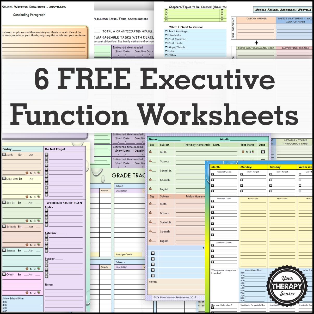 Executive Functioning And Worksheets