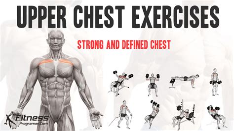 Build Upper Chest with Exercise