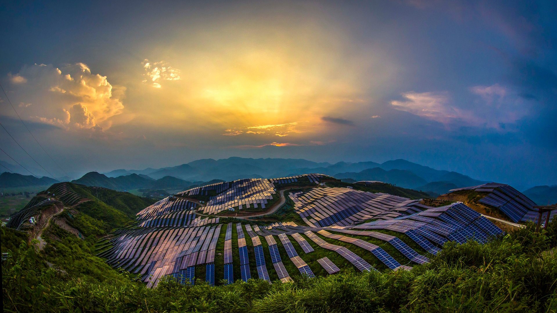 China's Fake Forest Image Sparks Environmental Concern