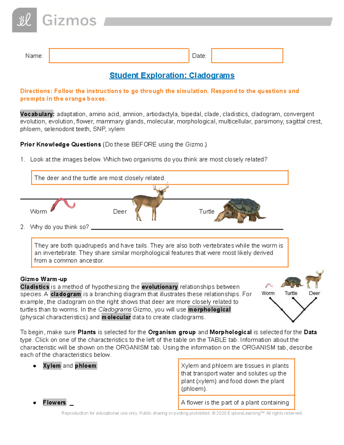 Famous Cladograms Gizmo Answer Key Quizlet References Suggested And Clear Explanation Of