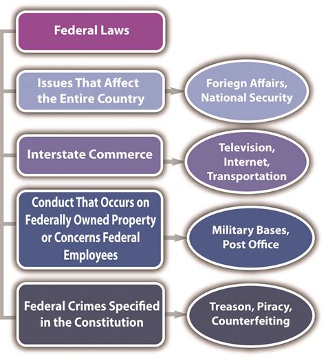 Federal Government Of The United States Law Regulation Policy Png