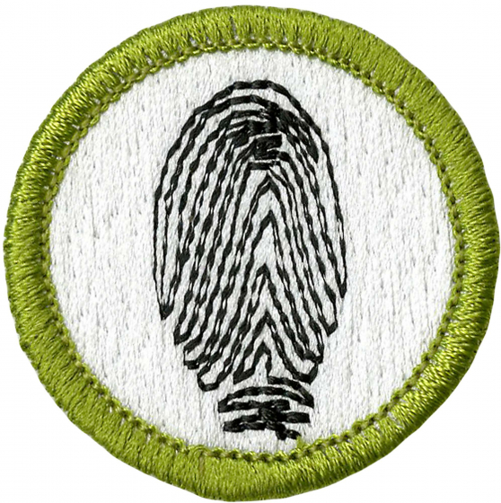 Earn Your Fingerprint Merit Badge: Easy Worksheet Guide