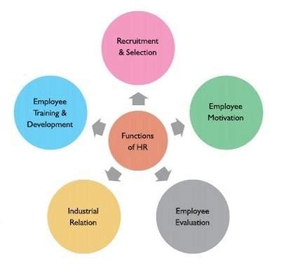 Five Major Functions Of Human Resource Management Download Scientific