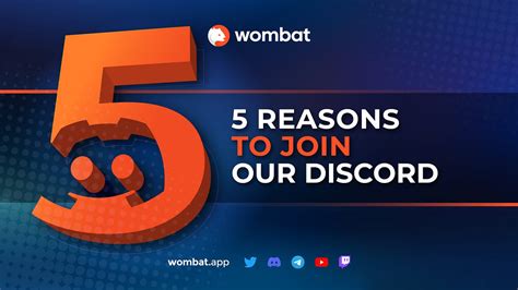 Five Reasons To Join Our Discord Hi Wombat Family By Olga Ivanova Wombat Blog Medium