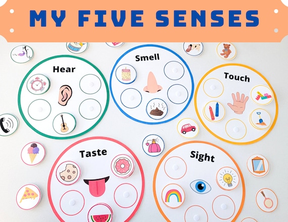 Five Senses Activities For Toddlers Laptrinhx News