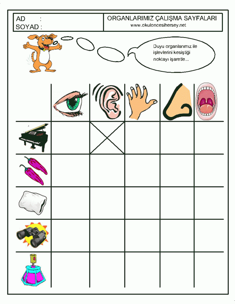 Five Senses Worksheet For Kids Crafts And Worksheets For Preschool