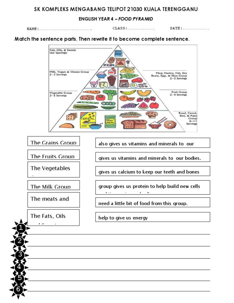 Food Pyramid Worksheets