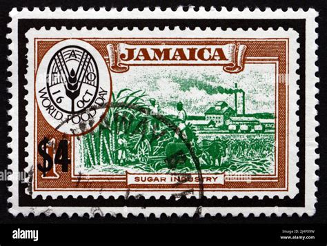 Food Stamp Jamaica Hotsell Vivatumusica Com