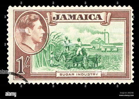 Jamaica Food Stamp Program