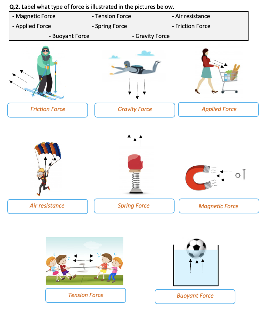 Force Diagram Worksheets