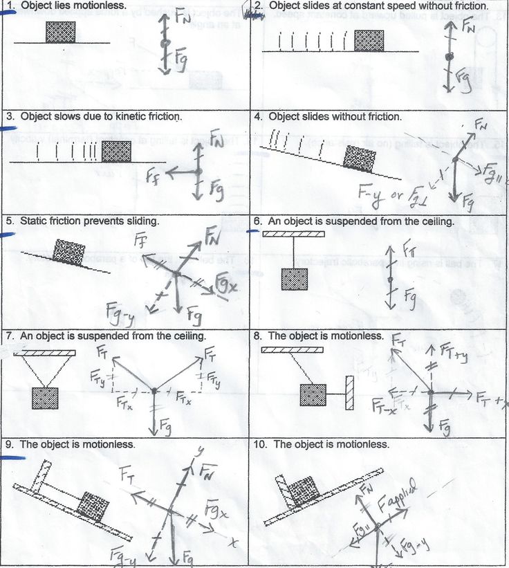 Force Diagrams Worksheet: Detailed Answers and Guidance