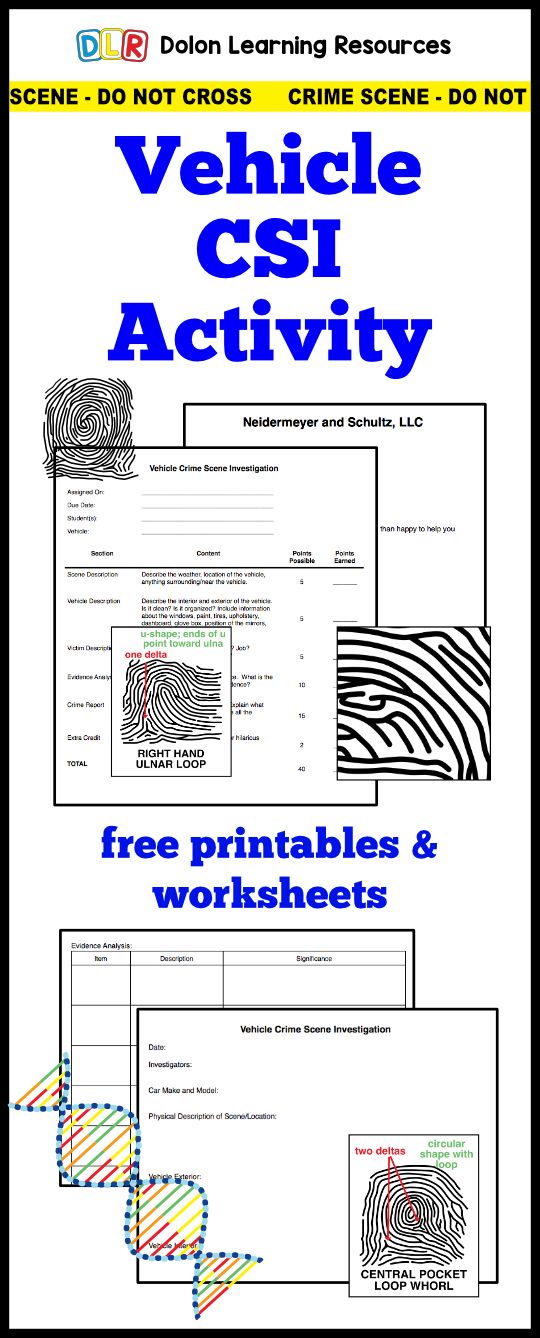 Forensic Science Worksheets