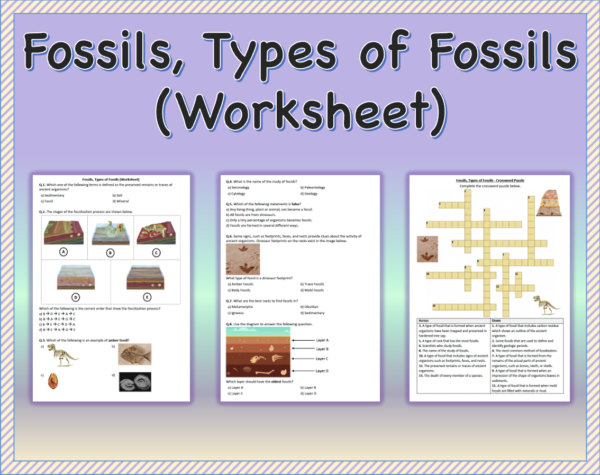 Fossils Types Of Fossils Worksheet Printable And Distance Learning Made By Teachers