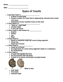 Fossils Worksheet Answer Key: Unveiled Secrets of the Past