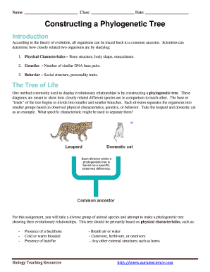 Free Phylogenetic Tree Worksheet Answers Download Free Phylogenetic