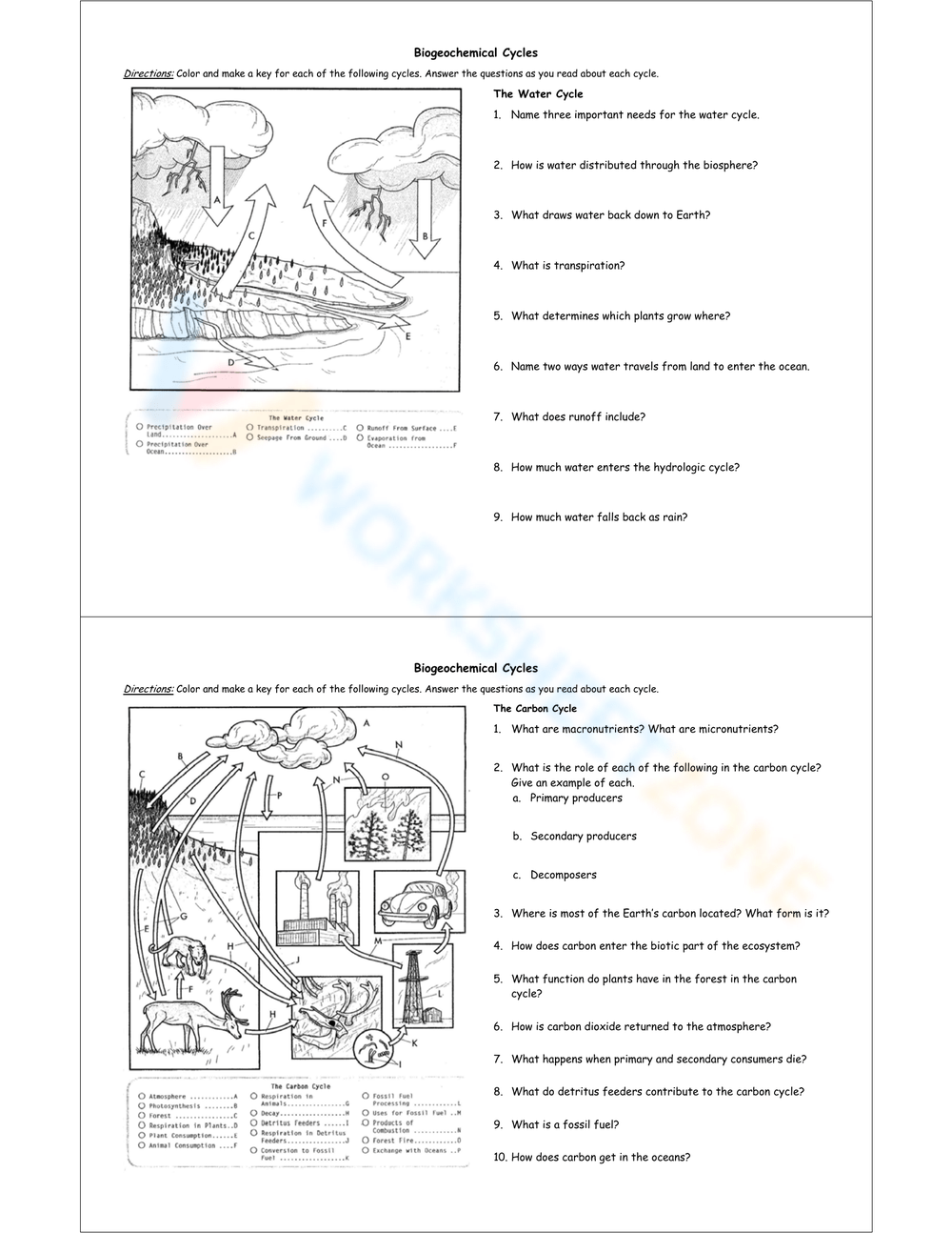 Free Printable Biogeochemical Cycles Worksheets Worksheets Library